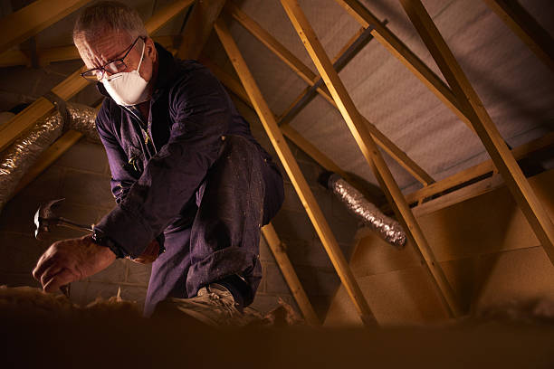 Best Types of Insulation in Ilchester, MD